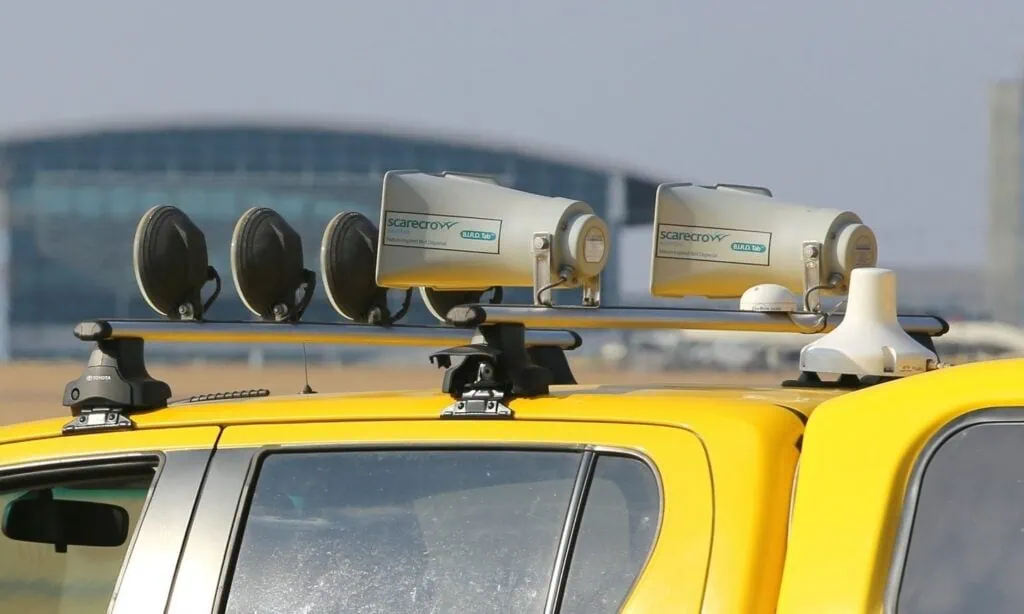 speakers on top of a car